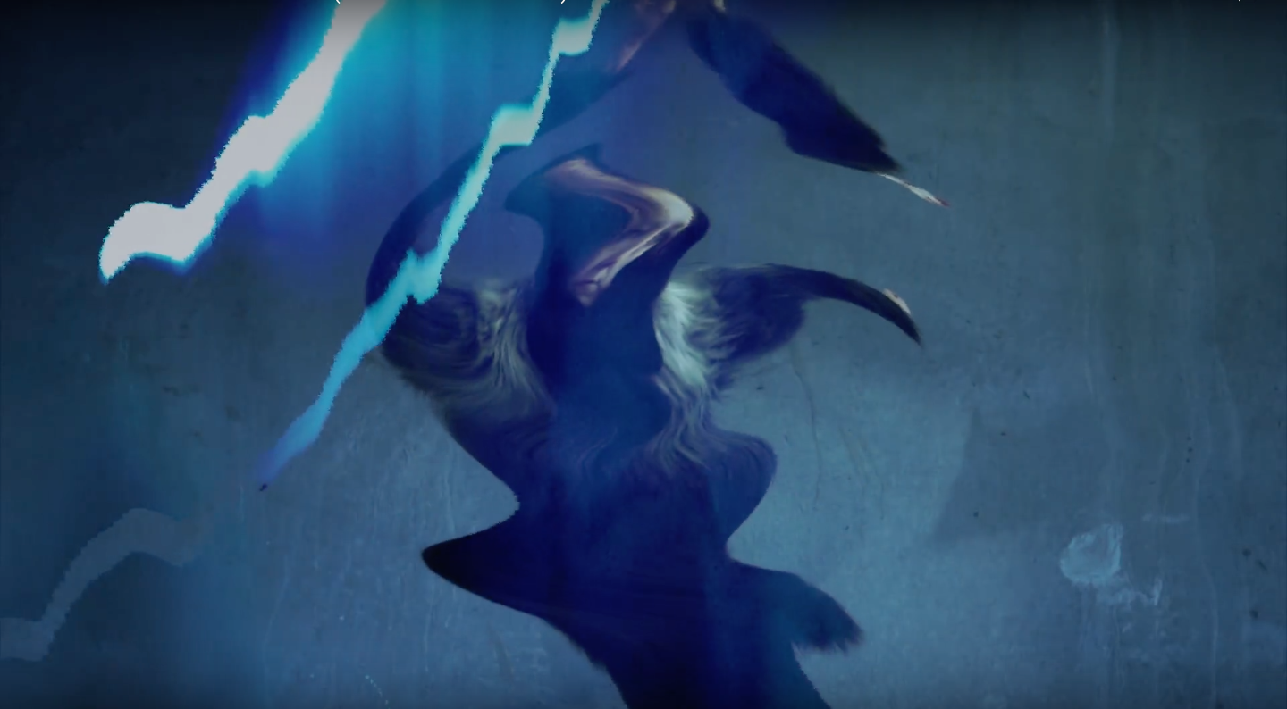 Screen Shot 2017-01-06 at 20.58.17