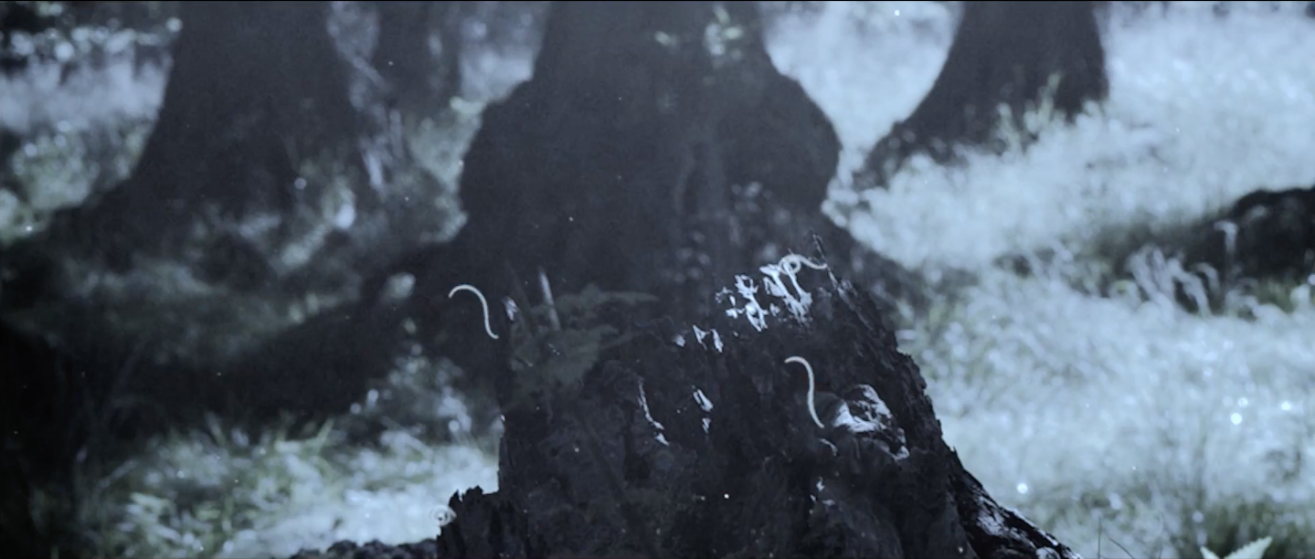 Screen Shot 2017-01-09 at 20.19.49