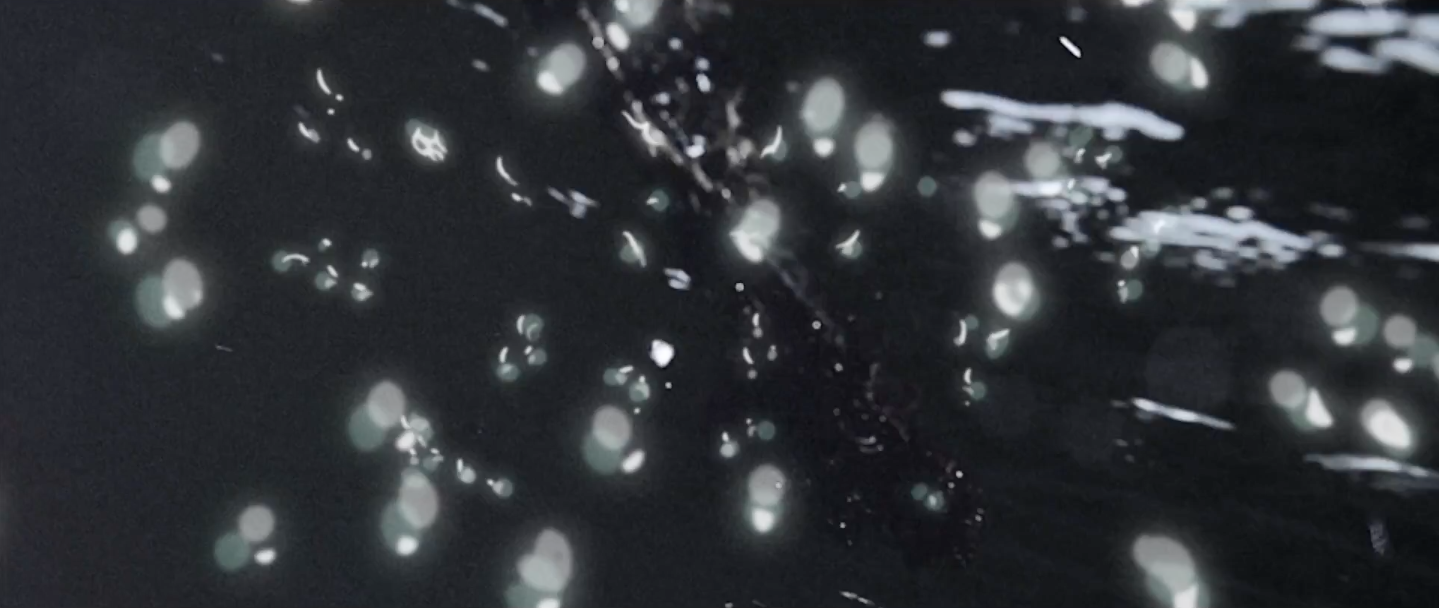 Screen Shot 2017-01-09 at 20.31.08